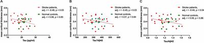 Neurodegeneration and Vascular Burden on Cognition After Midlife: A Plasma and Neuroimaging Biomarker Study